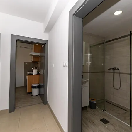 Apartment Ruza *
